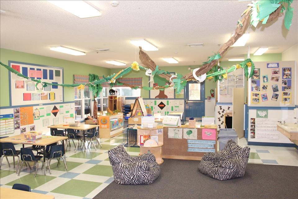 Classroom decorated with paper vines and leaves hanging leaves, tables, and zebra print beanbags