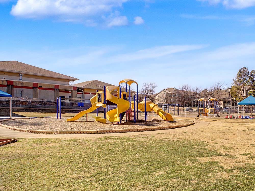 yellow and blue playground equipment in a park setting