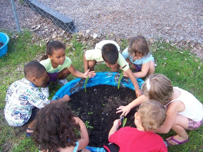 Group of children planting in a blue container filled with soil