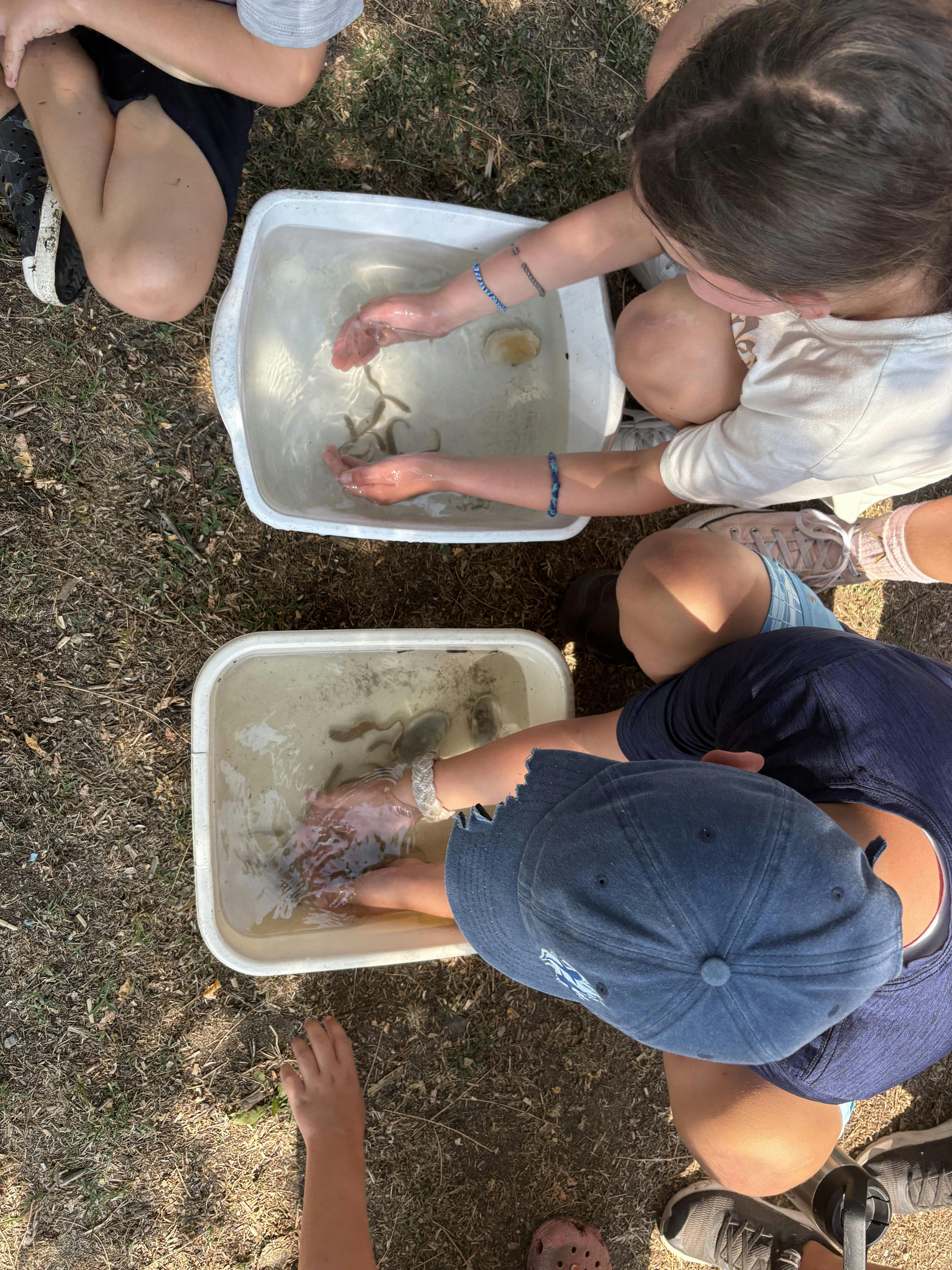 People with hands in tubs of water with marine life