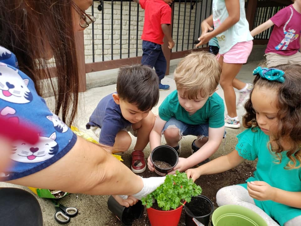 Adult and children planting in pots