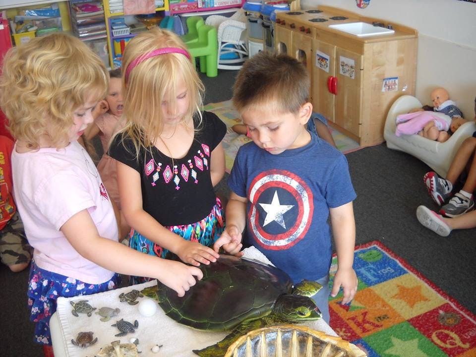 Three children touching a large turtle