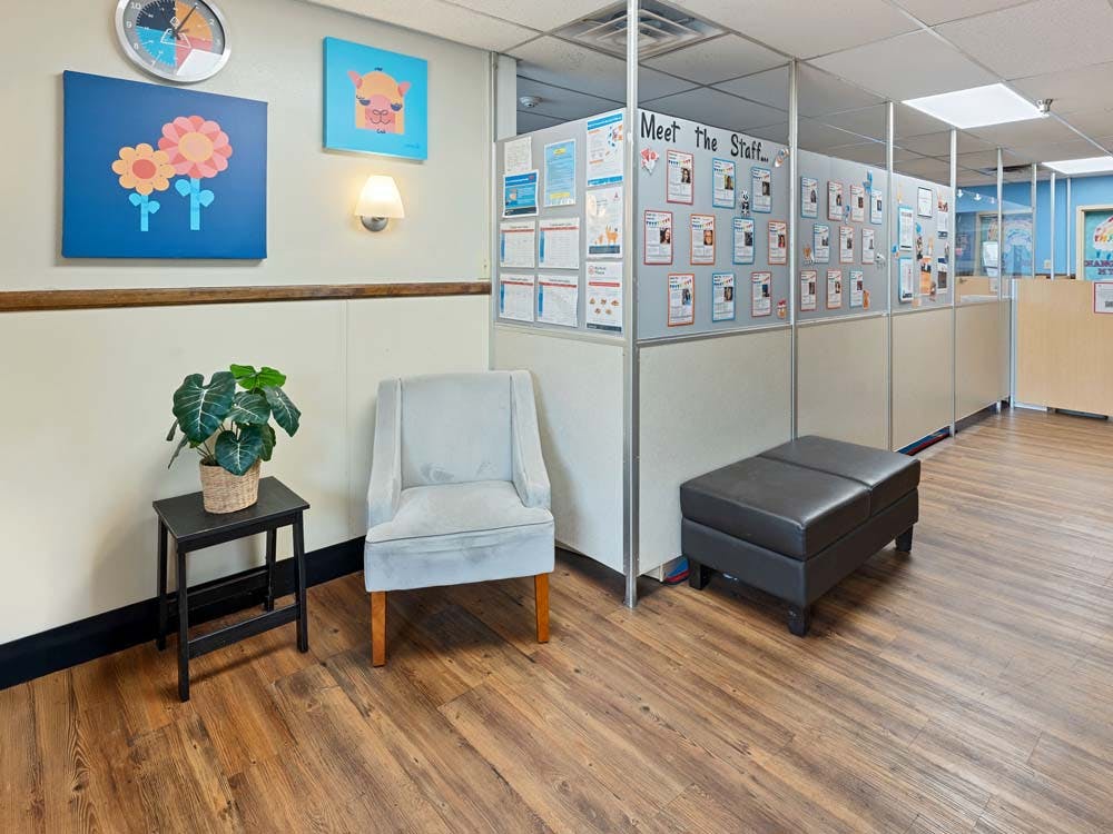 Lobby area with a light blue armchair, a small table with a plant, and cubicle walls