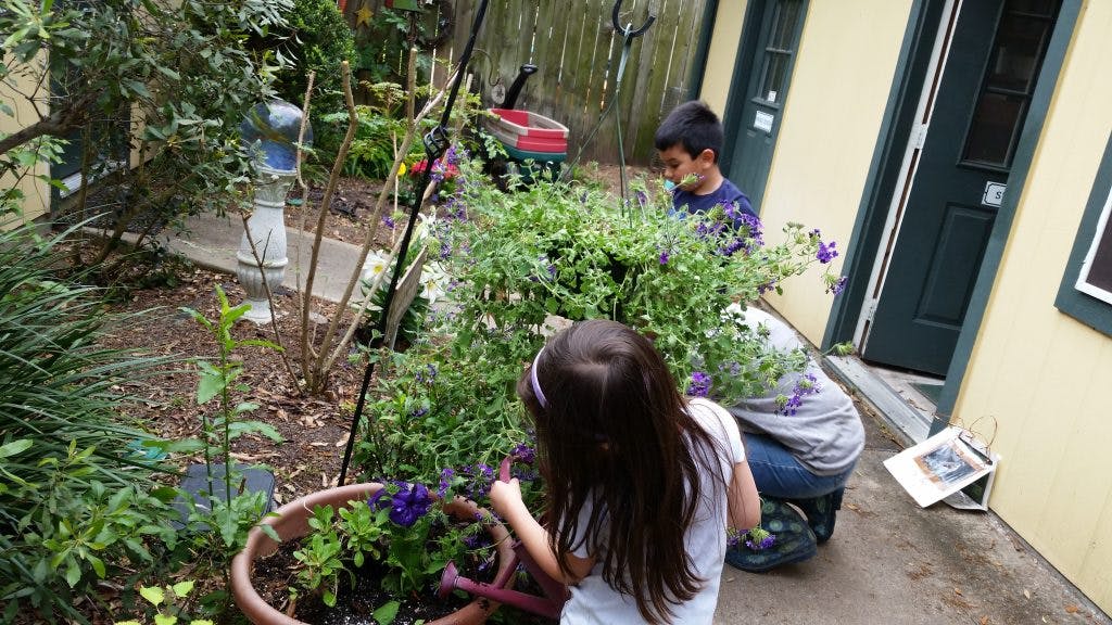 Two children tending to plants in a garden