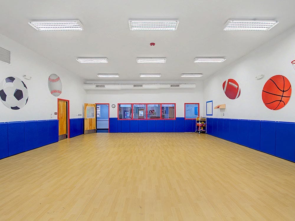 Empty recreation room with sport ball cutouts on the walls and padded lower walls
