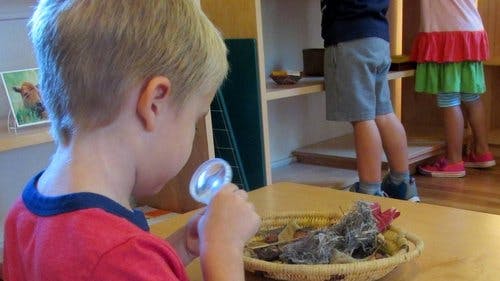 Child holding a magnifying glass over a basket of items