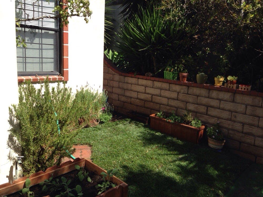 Small grassy yard with a brick wall and potted plants
