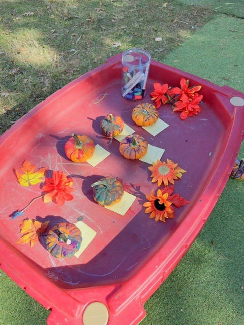 Small pumpkins decorated with markers on a red table with faux autumn leaves