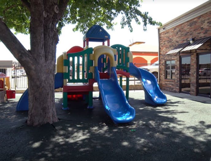 Playground with slides and a tree
