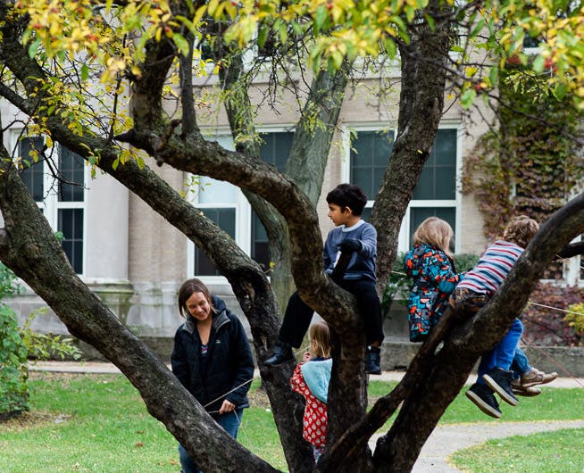 Person and children climbing in a tree