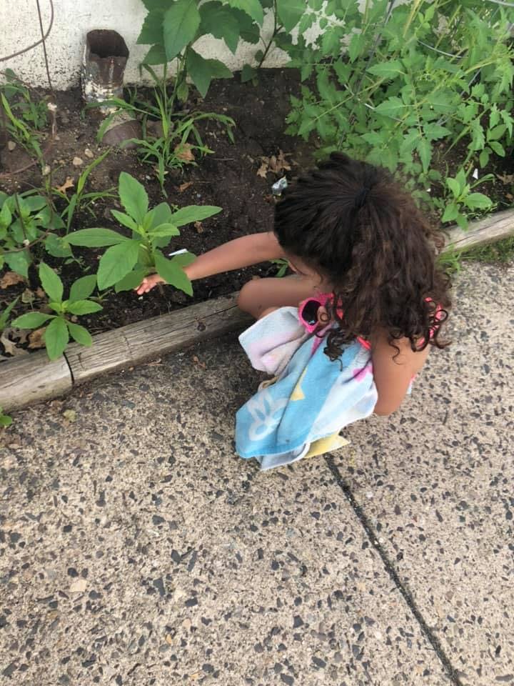 Child kneeling and touching a plant in a garden bed