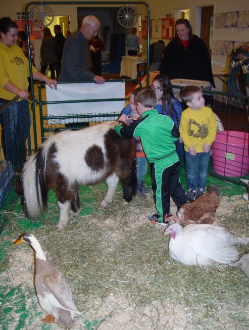 People and children petting a pony in a pen with other farm animals