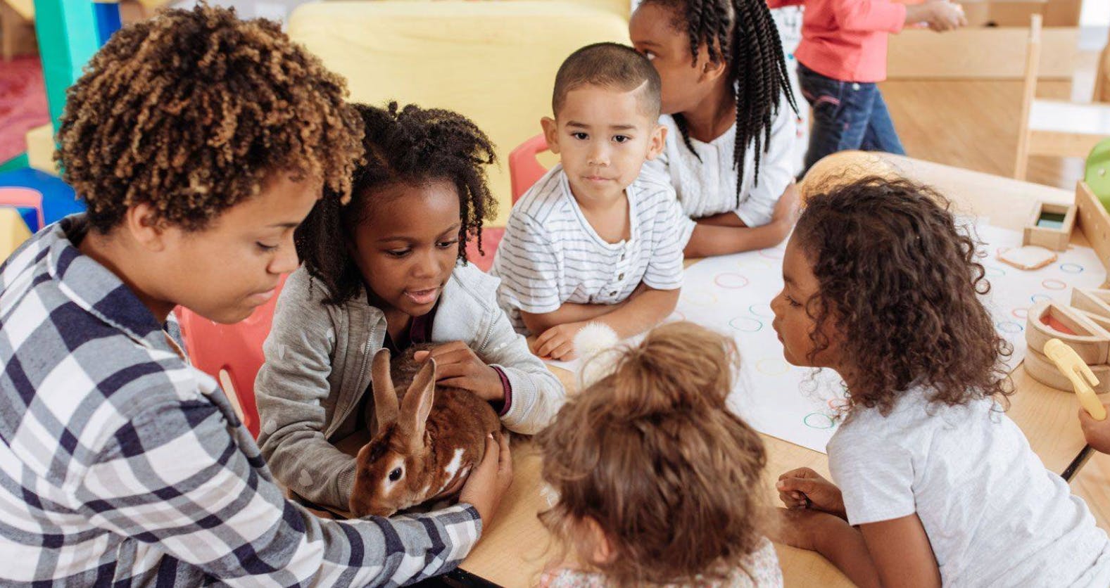 Person and children looking at a rabbit