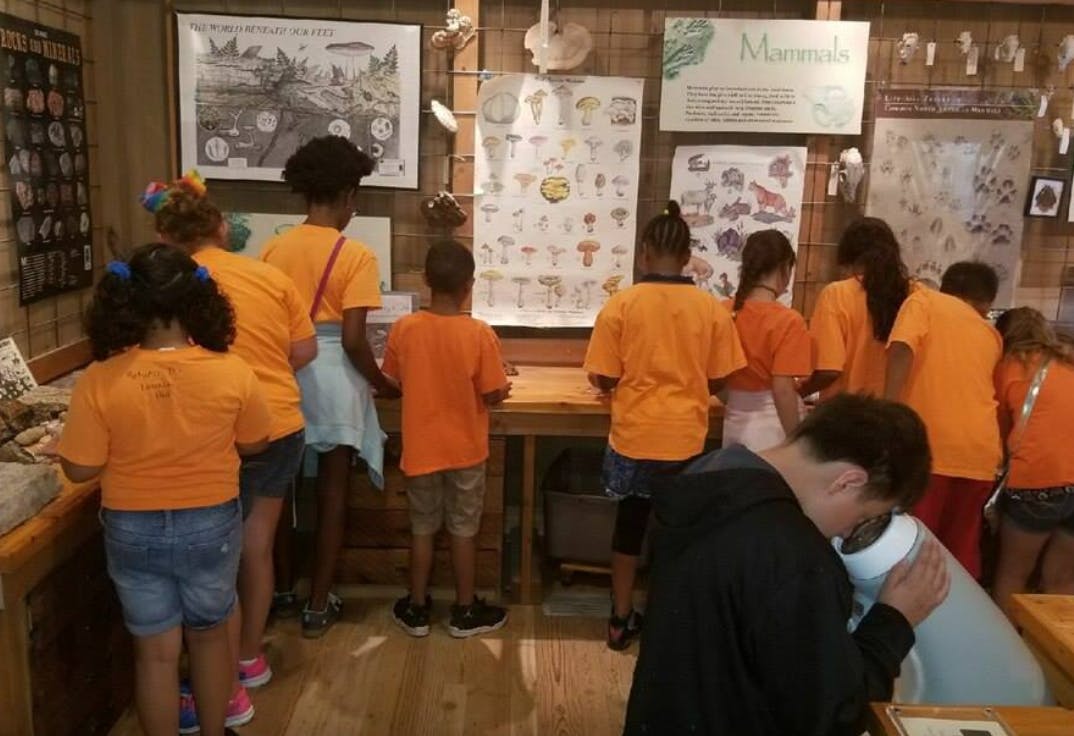 Children and teens in orange shirts looking at displays in a room