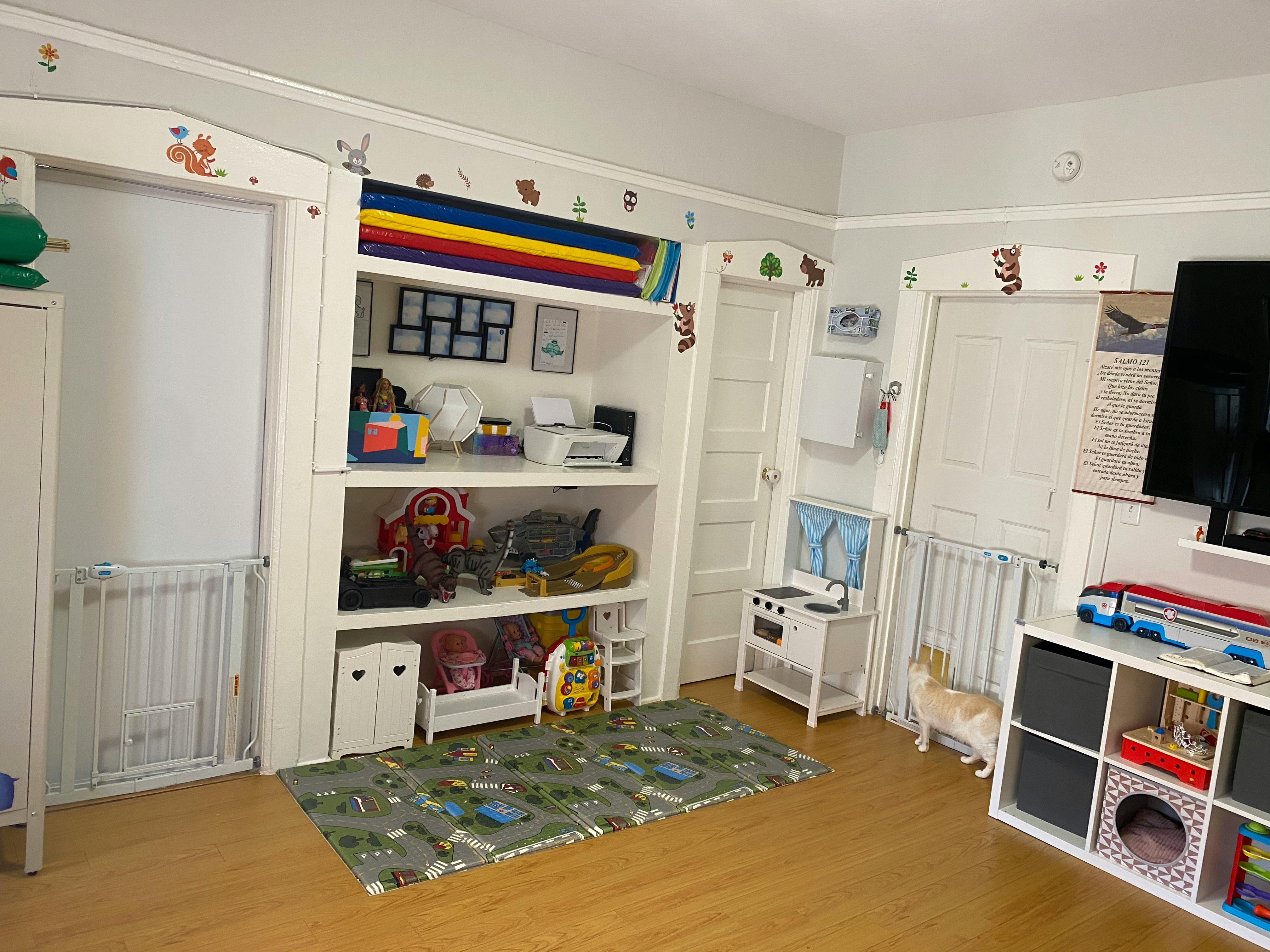 Playroom with shelves of toys, a rug, and a small play kitchen