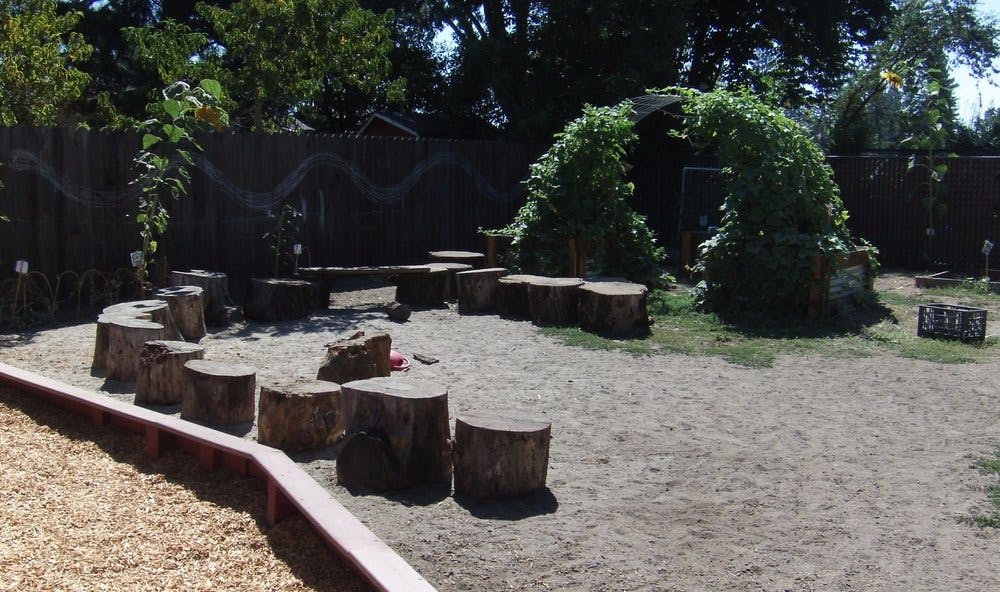 Outdoor play area with tree stump seating and a leafy archway