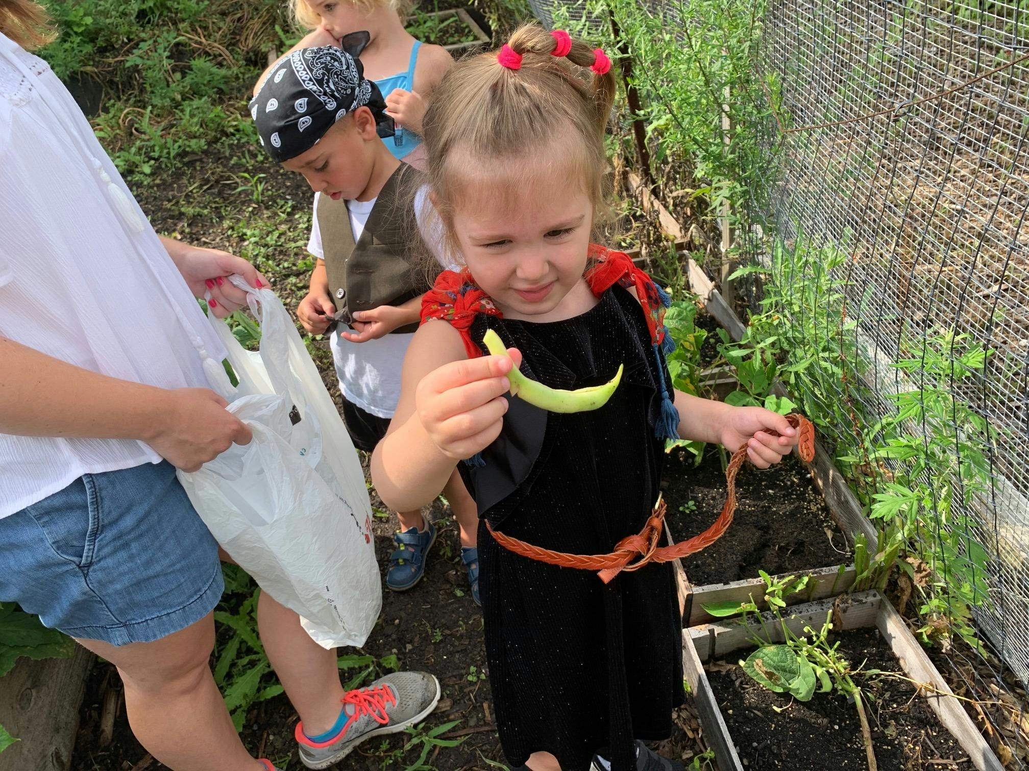 Child holding a green pepper in a garden