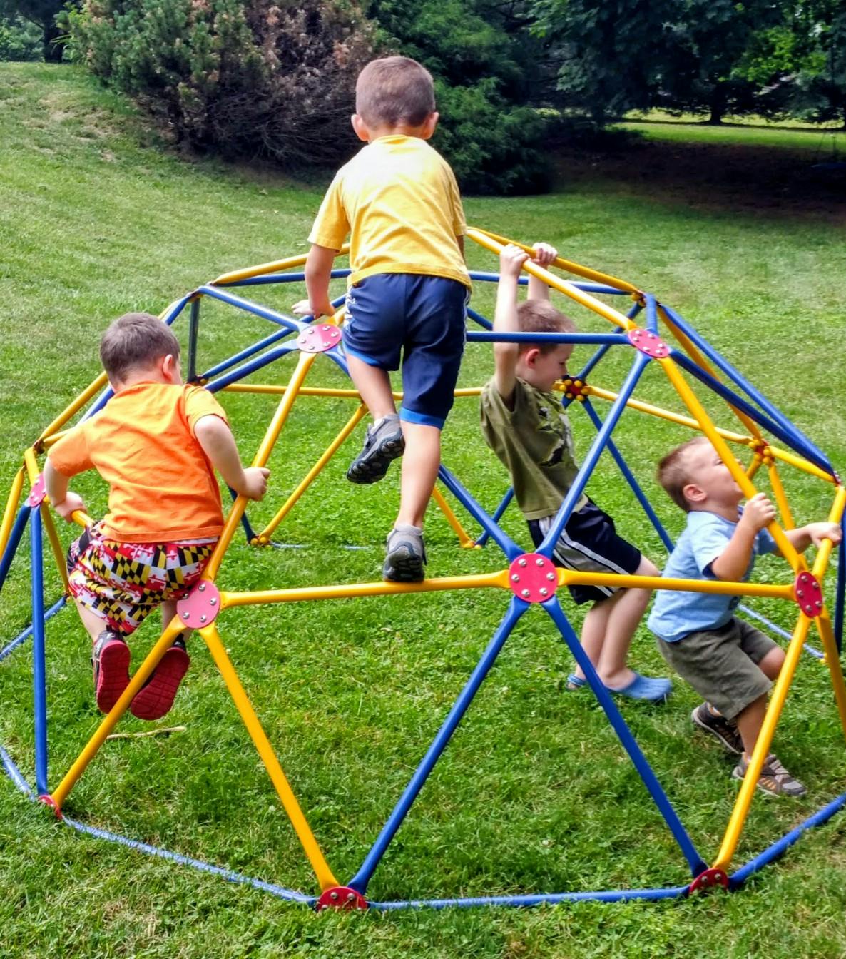 Four children climbing on a dome-shaped jungle gym in a grassy area