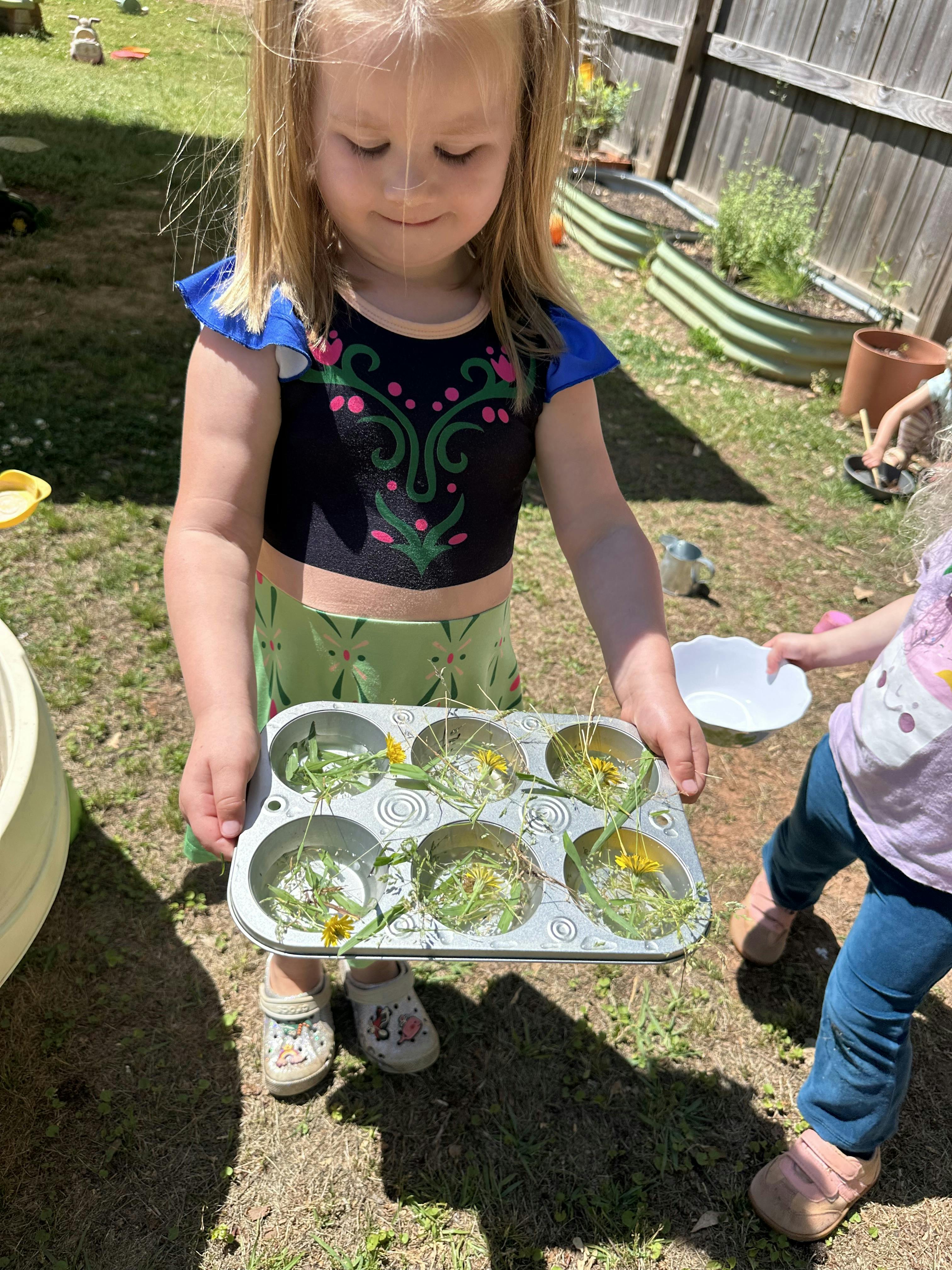 Child holding a muffin tin filled with grass and dandelions outside