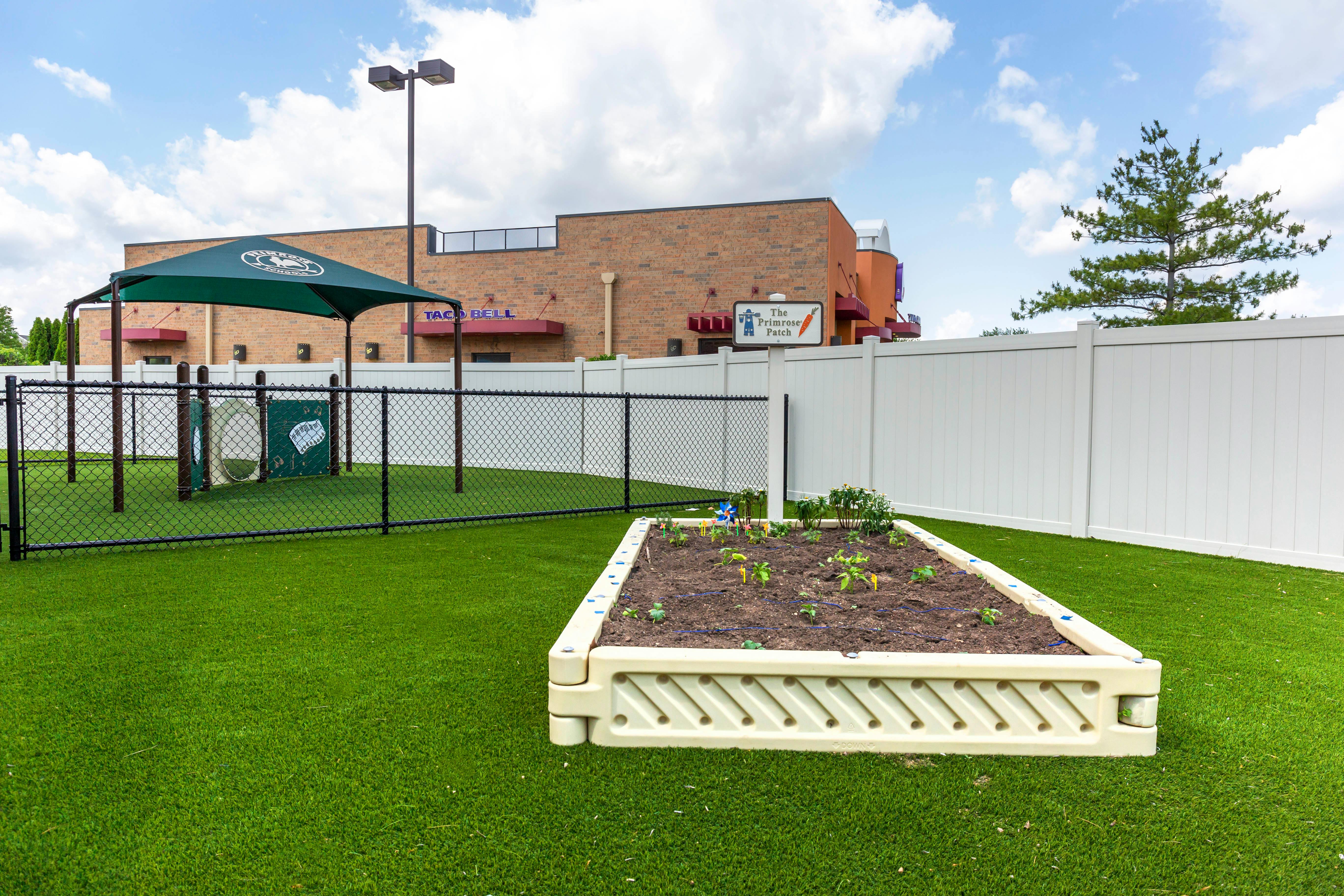 An outdoor garden with rows of small green plants in a raised bed, next to artificial grass