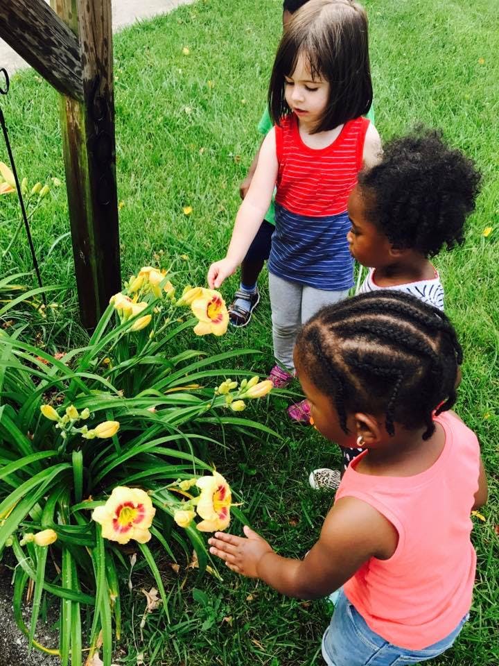 Three children looking at yellow flowers in a garden