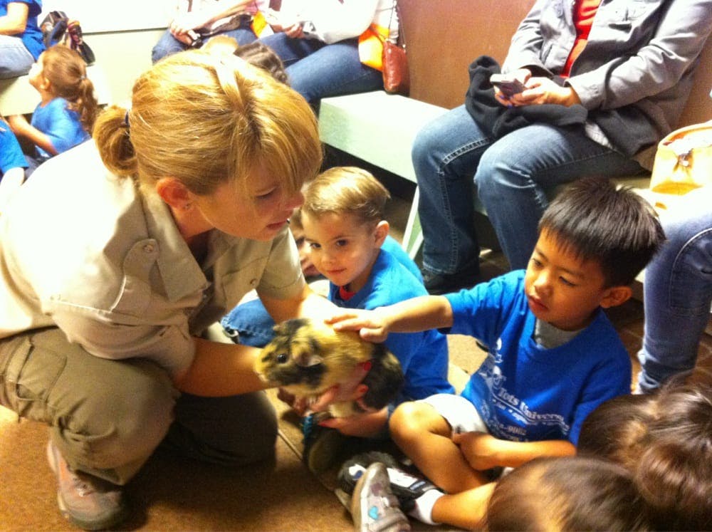 Person holding small animal for children to pet