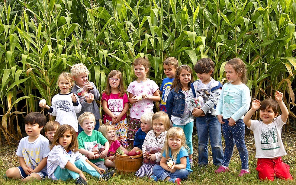 Group of children in front of tall green plants