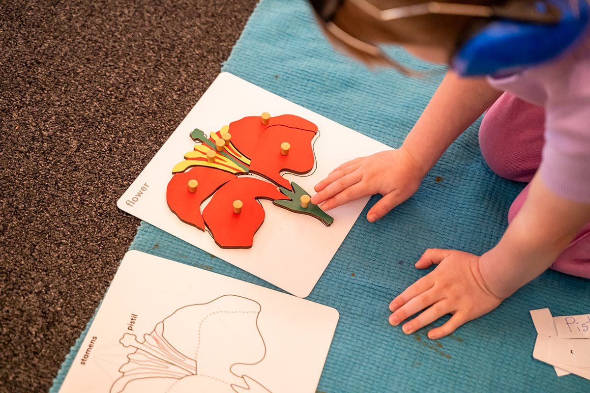 Child playing with a flower puzzle