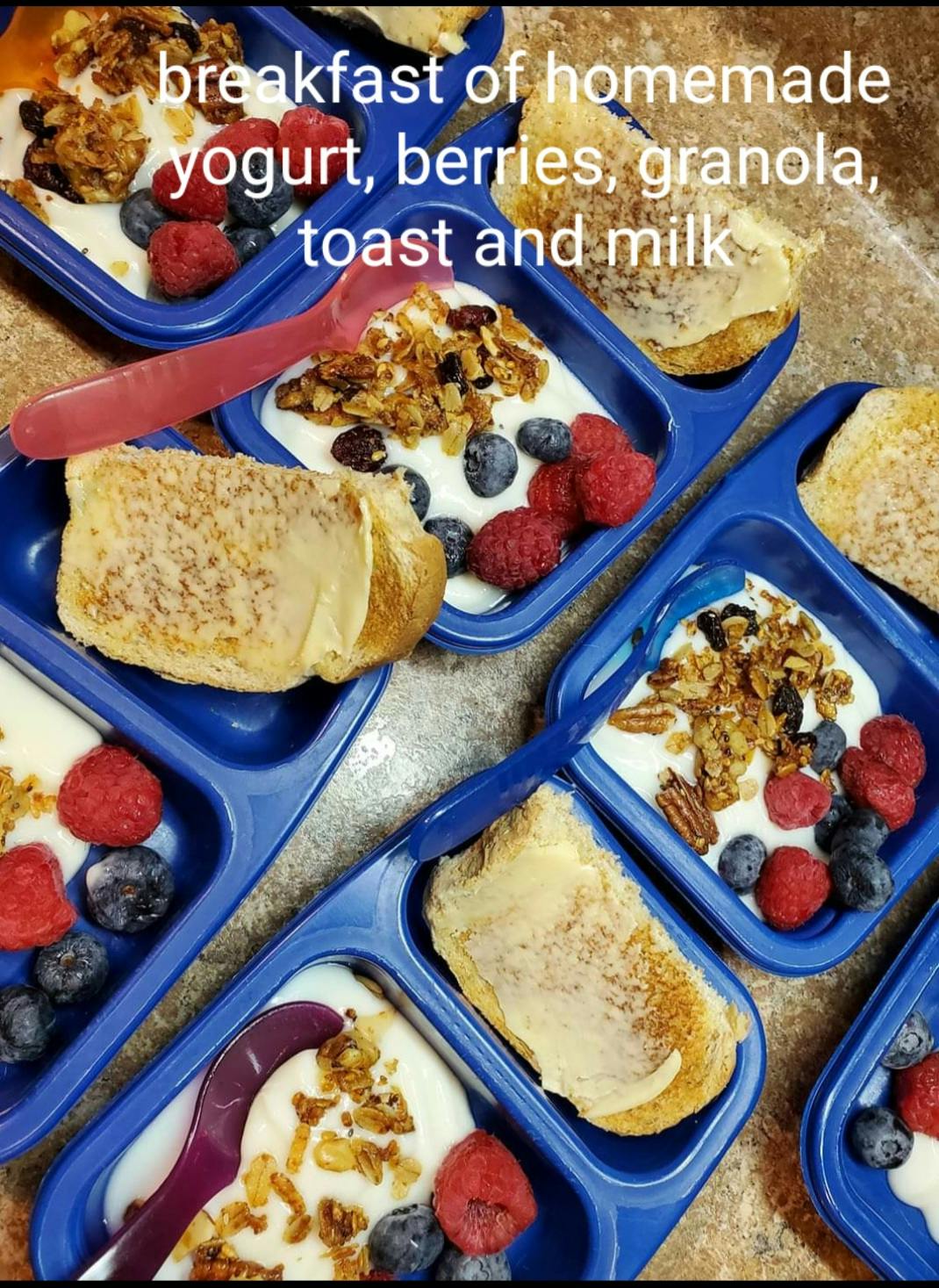 Multiple blue trays with yogurt, berries, granola, and toast