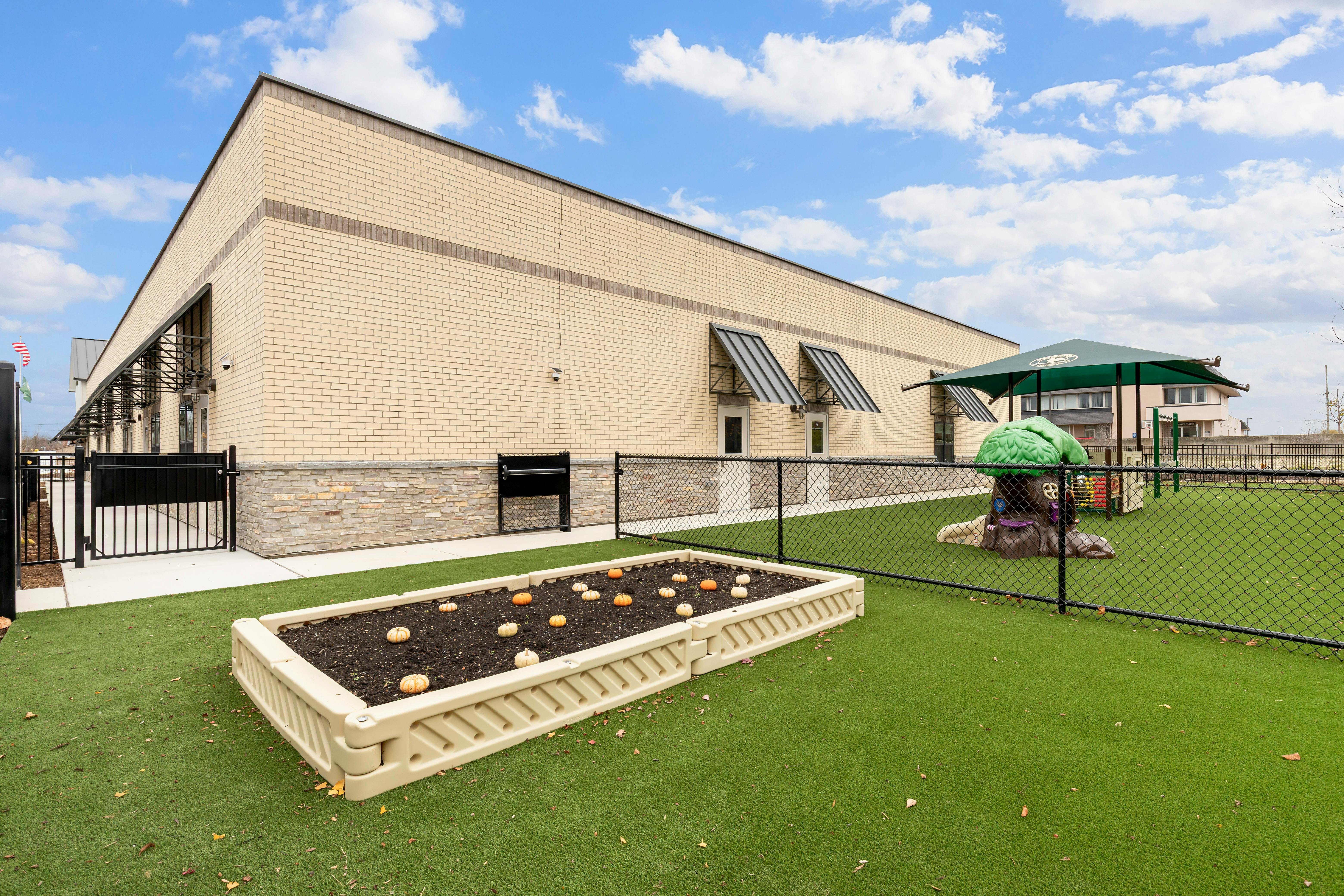 Raised garden bed with pumpkins on artificial turf next to a building