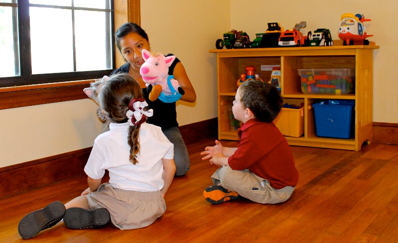 Person holding a pig puppet for two children