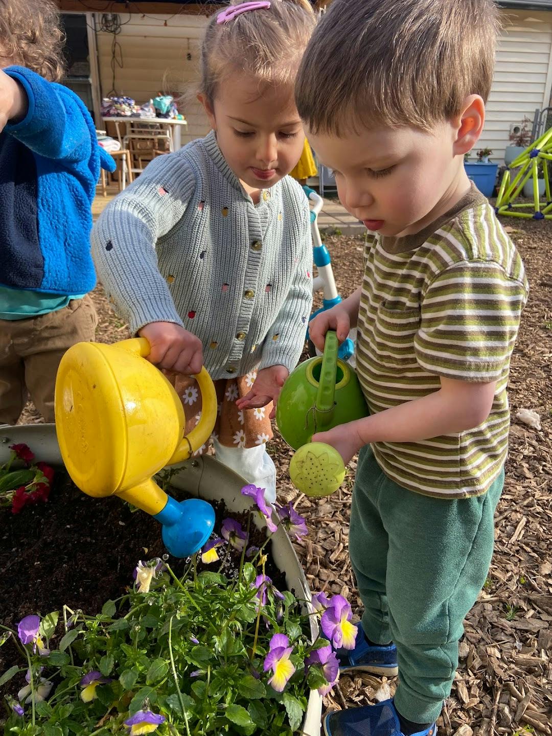 Two children watering plants with small watering cans