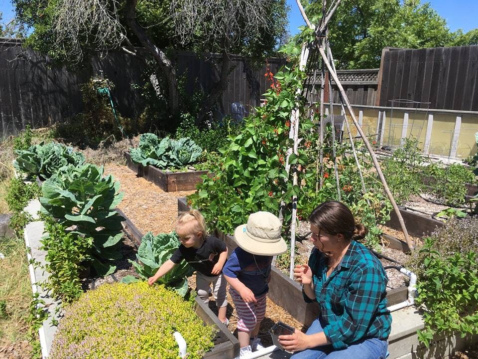 Santa Cruz Toddler Care Center in Santa Cruz, CA