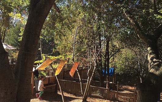 Child standing near wooden fence and trees