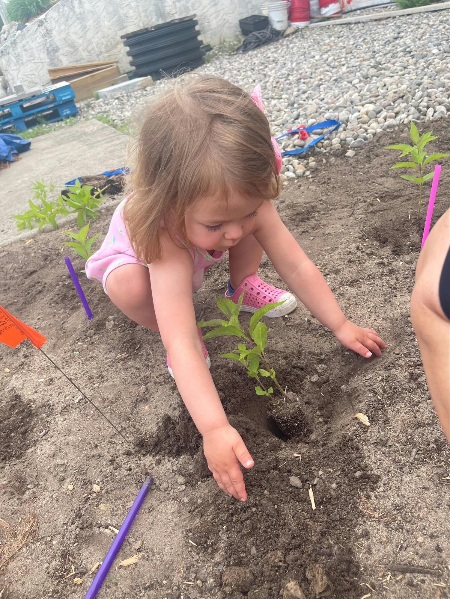 Child planting a small plant in the dirt