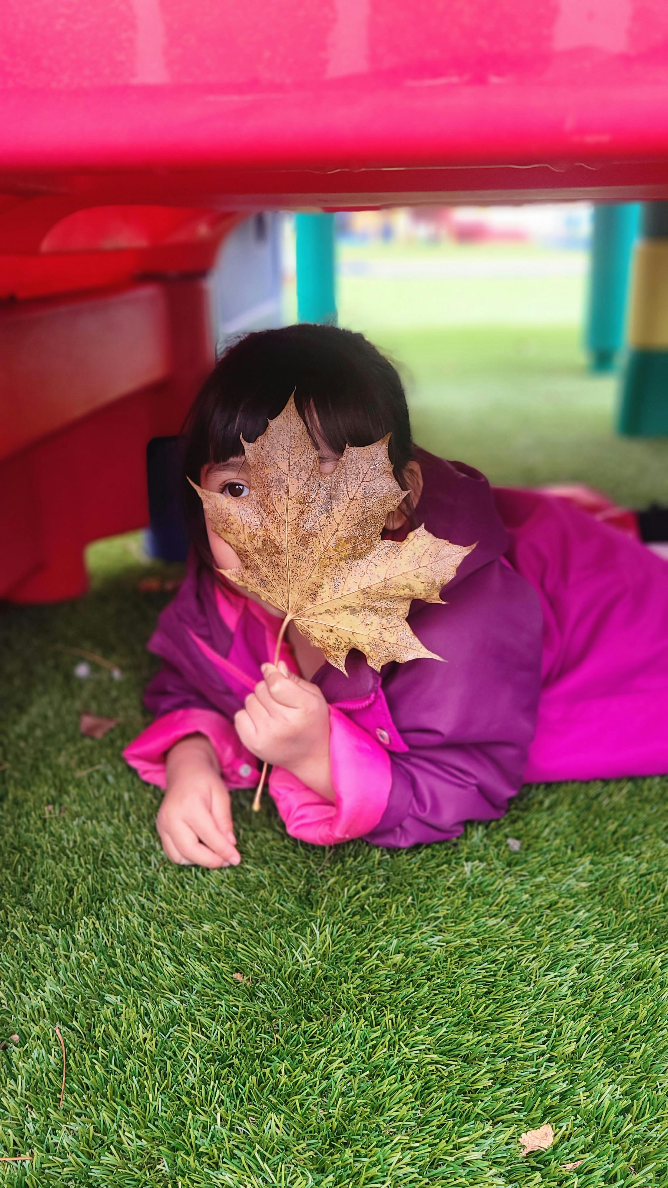 Child lying on grass holding a large leaf over their face