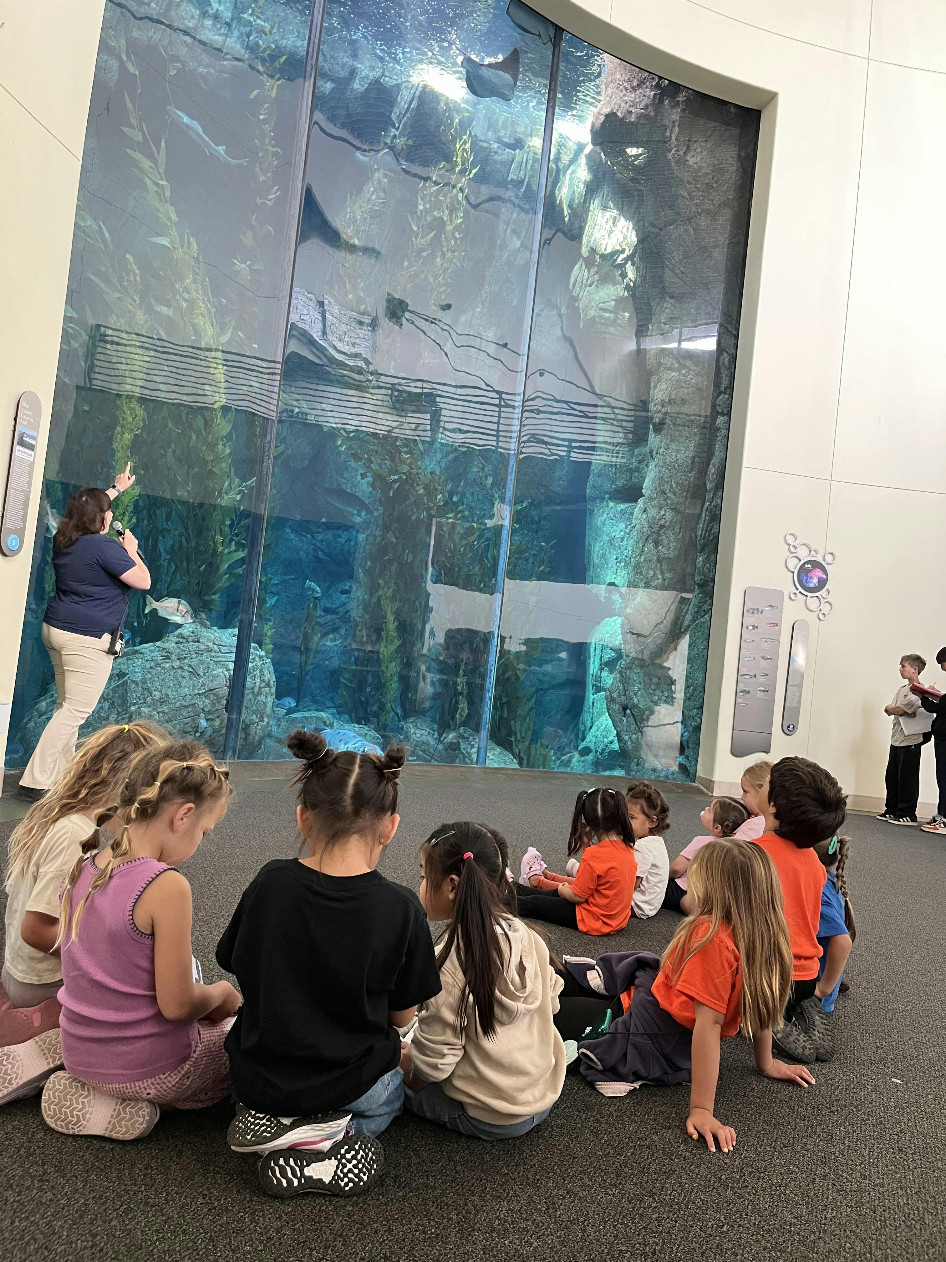 Group of children sitting on the floor watching a large aquarium tank