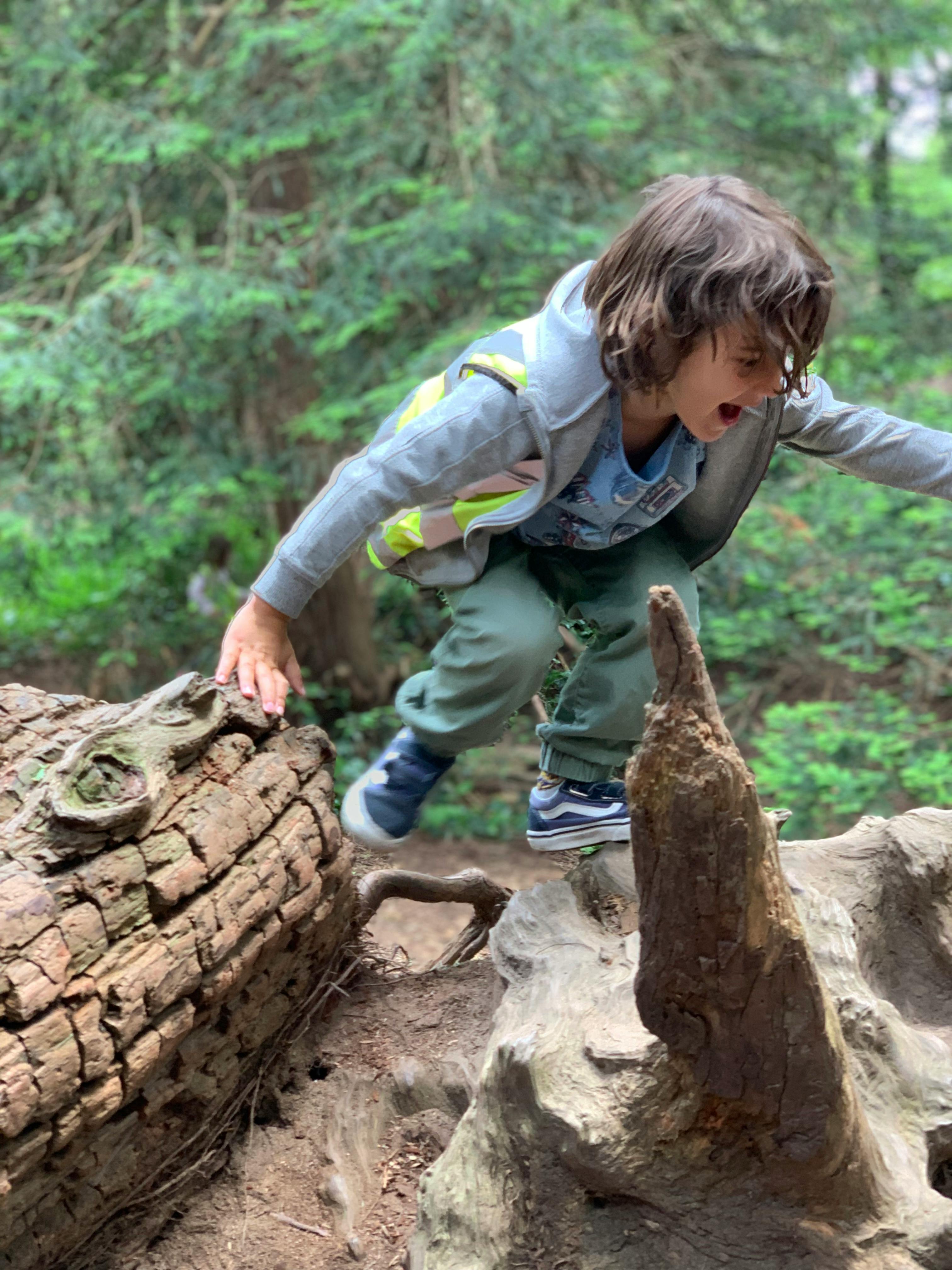 Child climbing over a fallen log in a forest