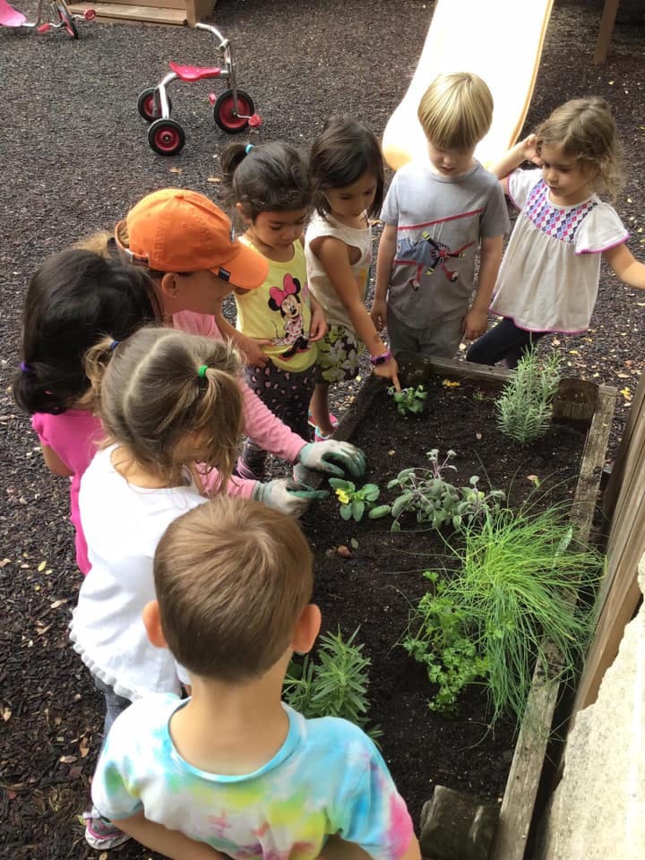 Adult and children planting in a raised garden bed