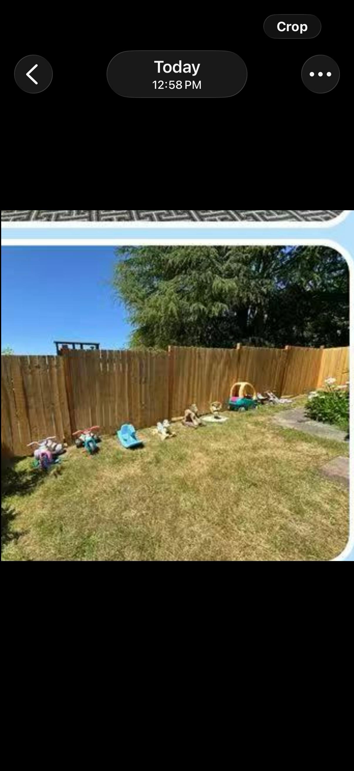 backyard with a wooden fence, grass, and toys, with trees and sky in the background