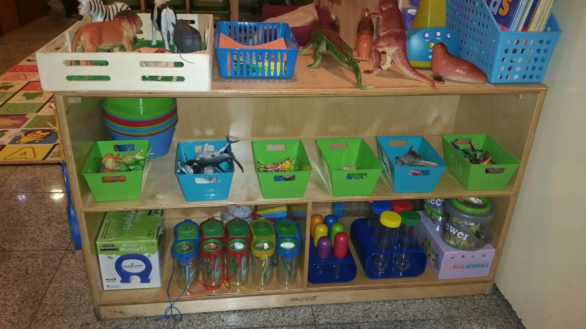 Shelves with toys and storage bins