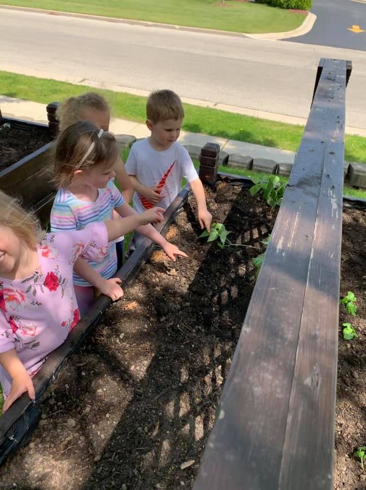Children planting in a garden bed of garden bed