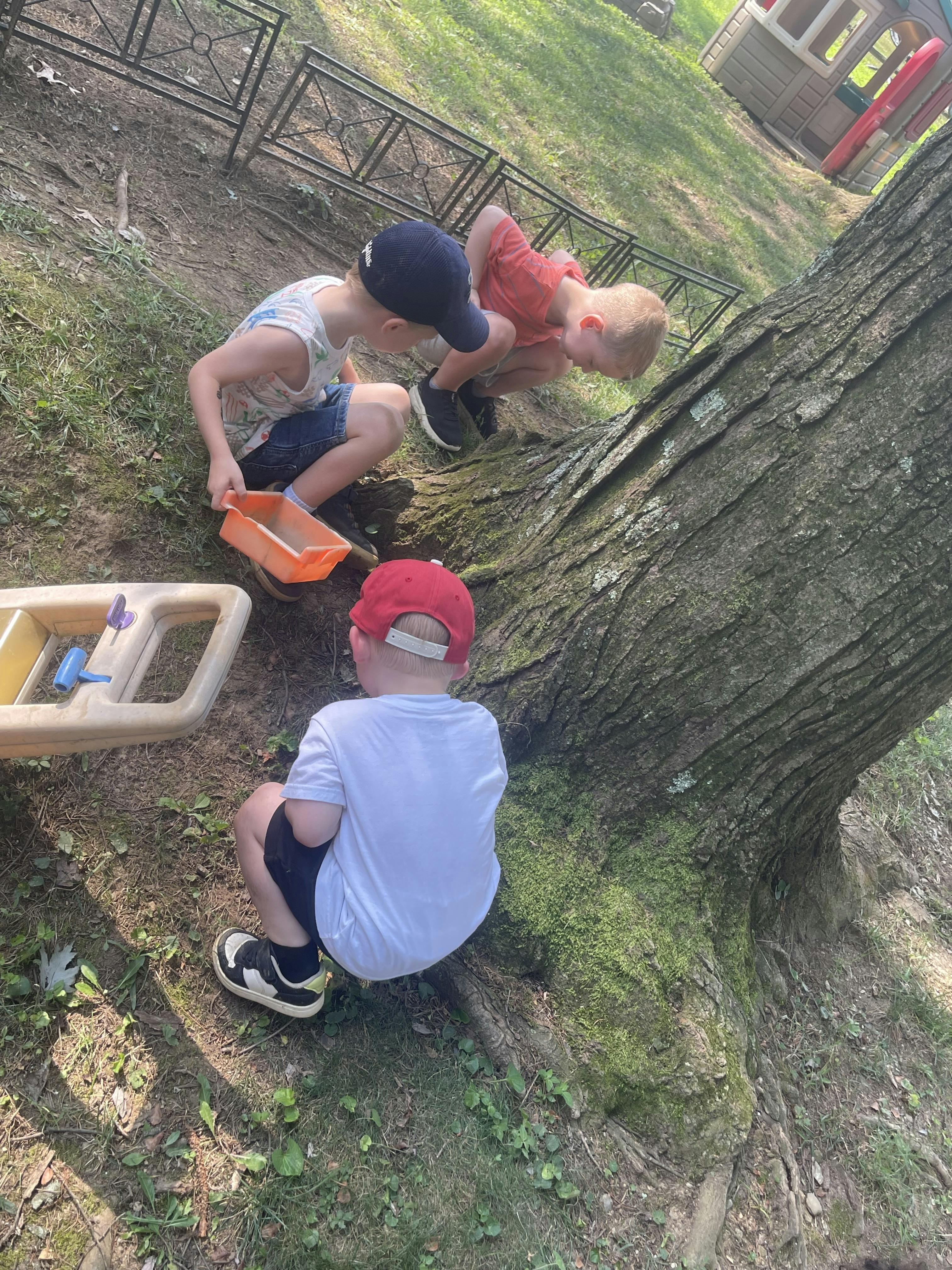 Three children playing outdoors near a tree