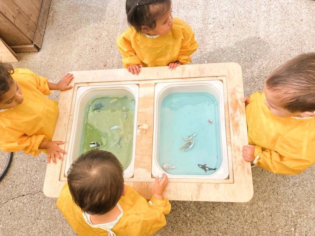 Children playing with water and toys in a sensory table
