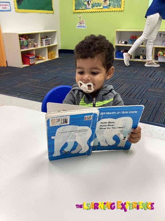 Child with pacifier reading a book about a polar bear