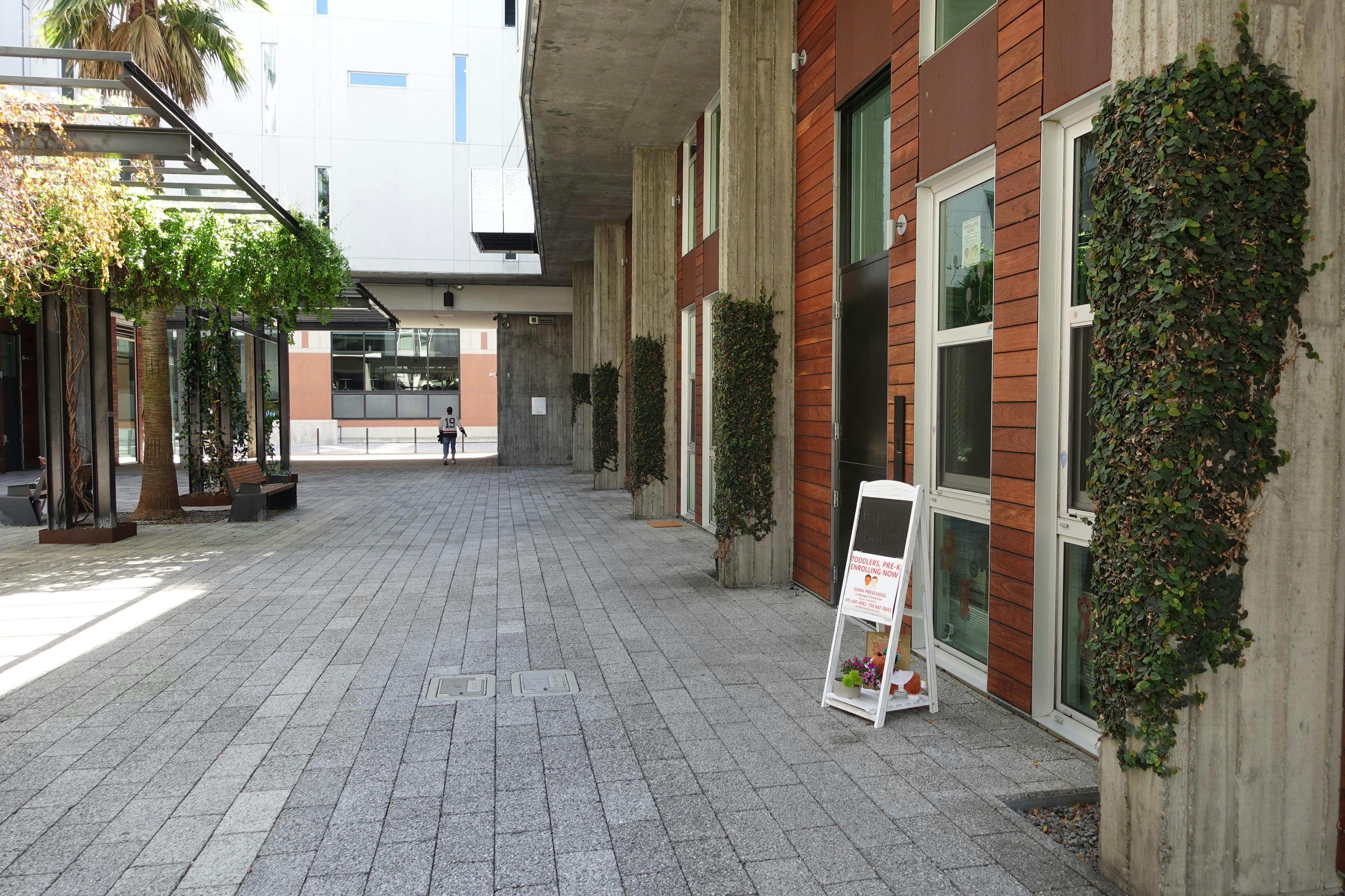 Paved walkway next to a building with wood siding and concrete columns covered in ivy
