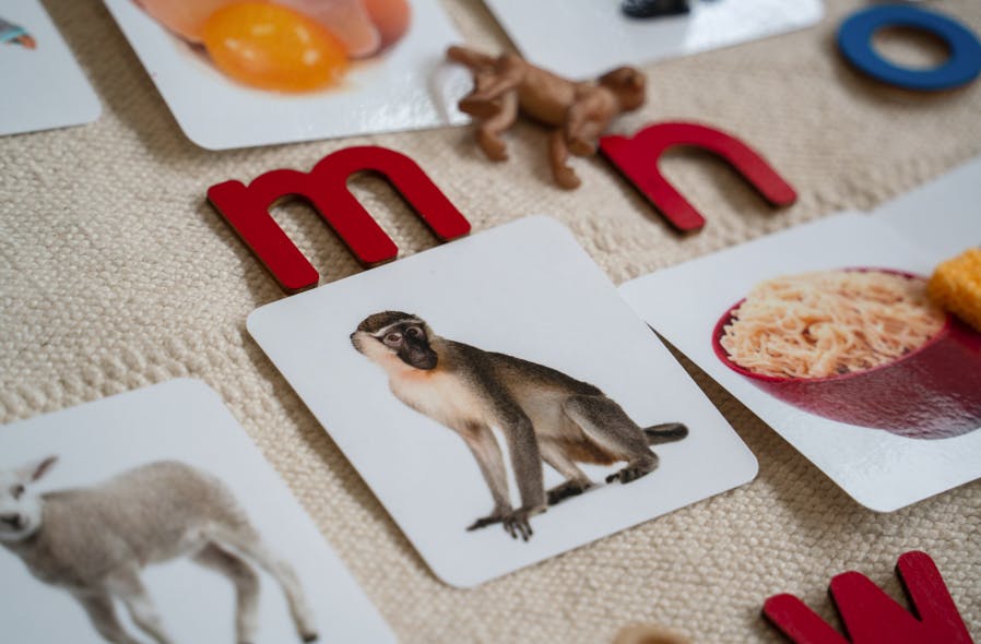 Flashcards and letter cutouts for learning the alphabet