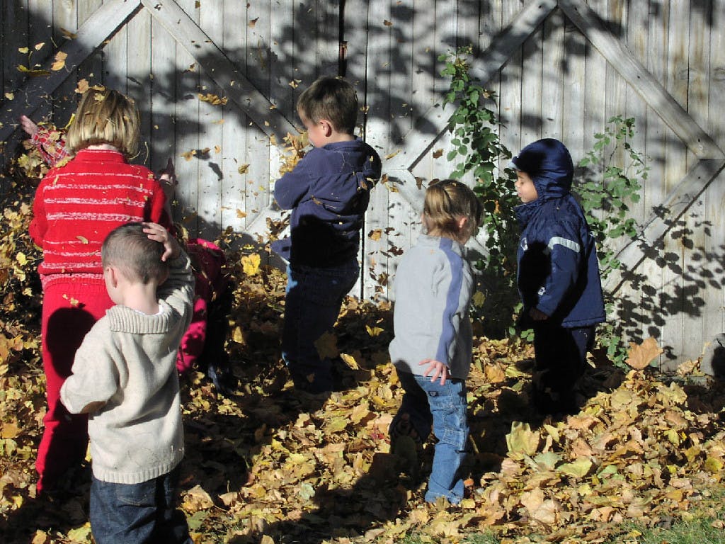 Children playing in a pile of autumn leaves