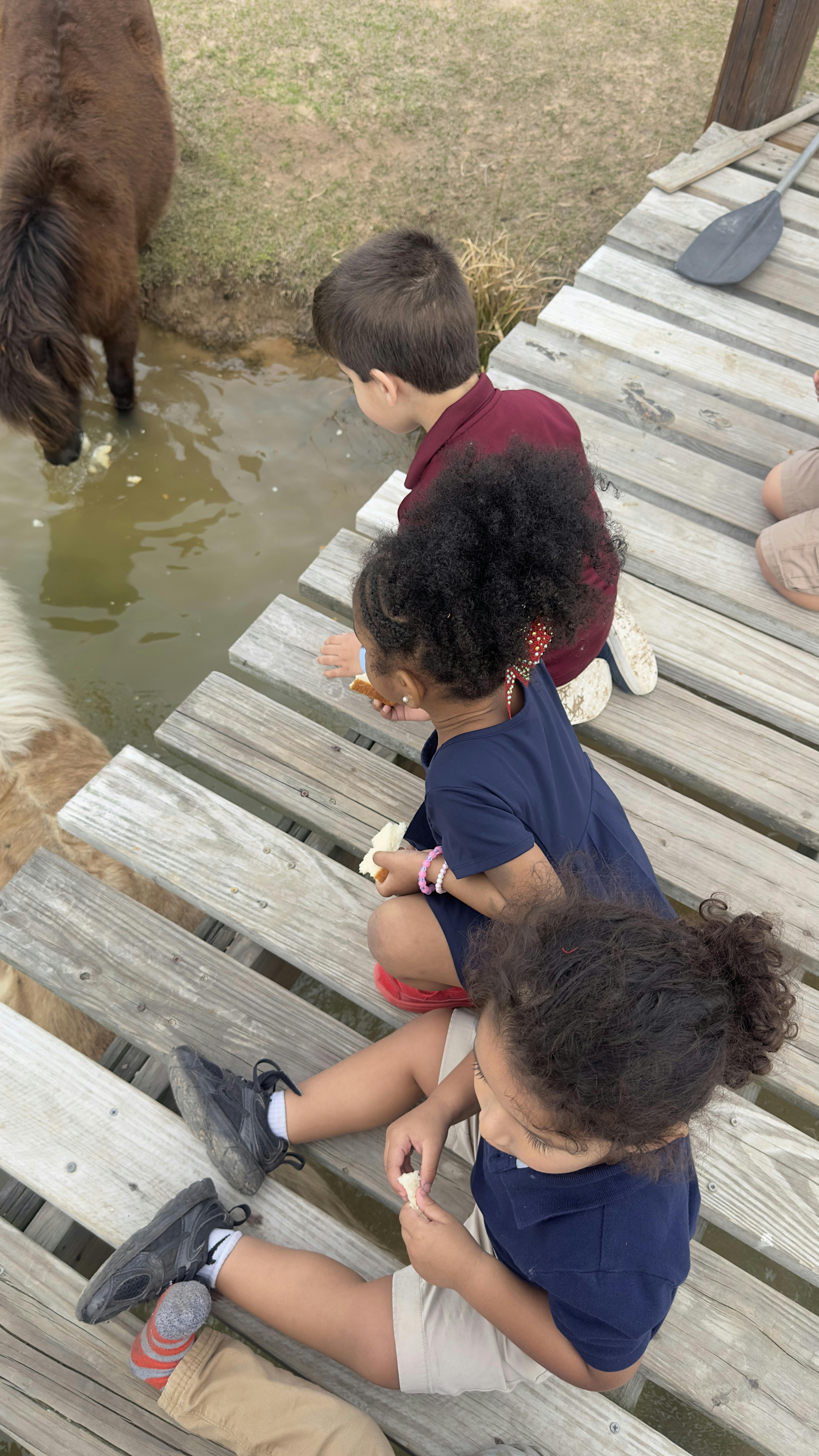 Children on a dock feeding an animal in the water