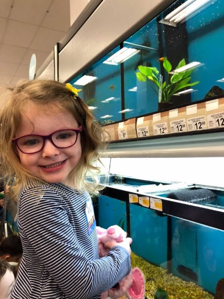 Child in glasses looking at fish tanks